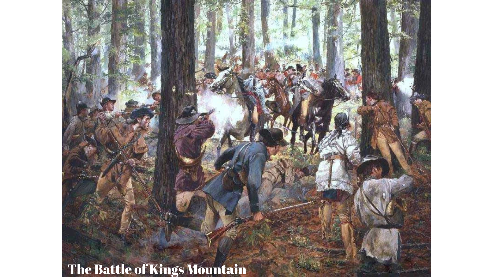 Images for Carosel (Presentation) (5)